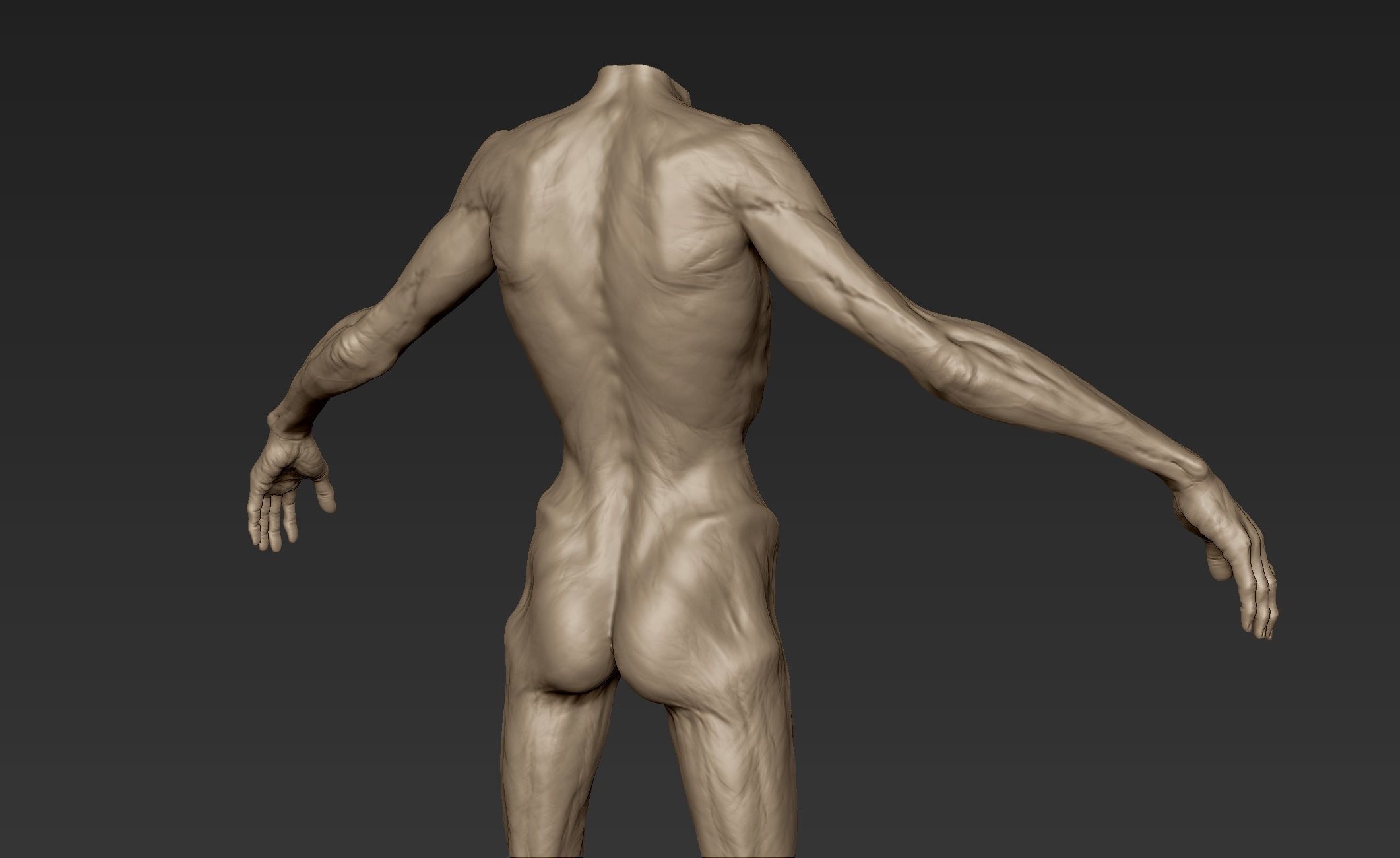 Creature Body Sculpt 2 3D model_9