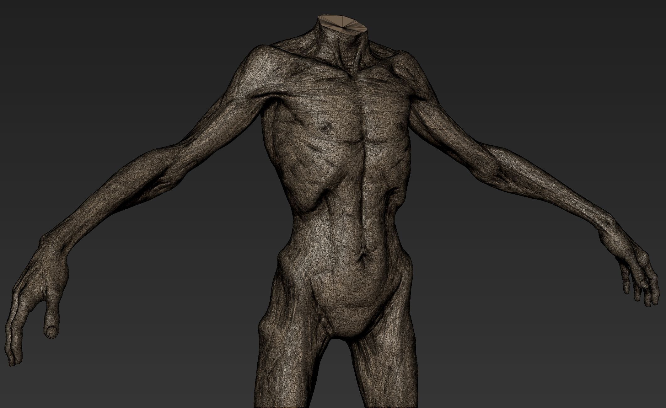 Creature Body Sculpt 2 3D model_12