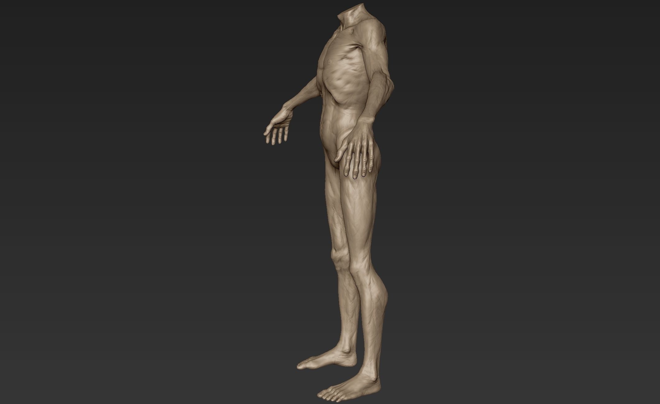 Creature Body Sculpt 2 3D model_4