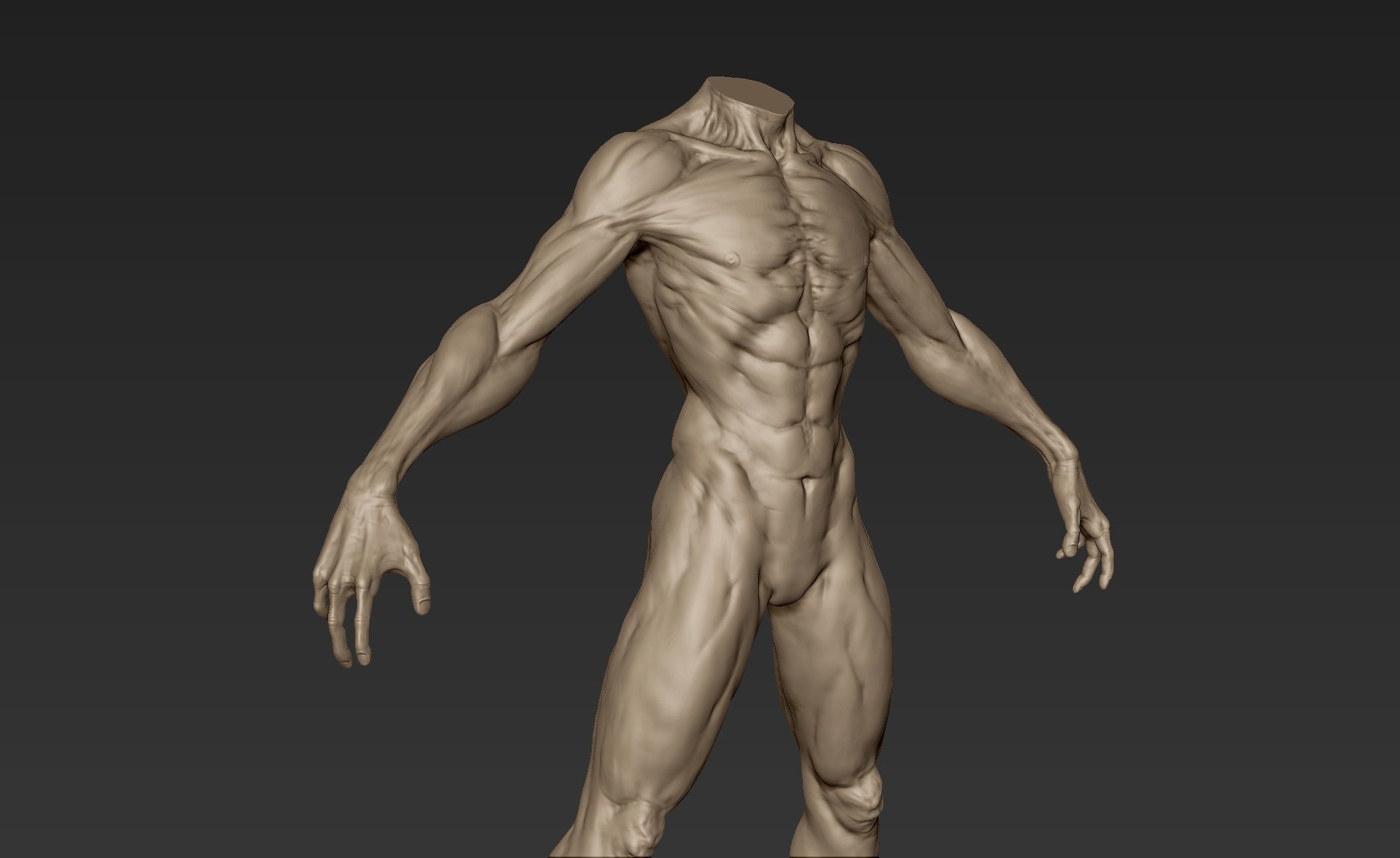 Creature Body Sculpt 3 3D model_10