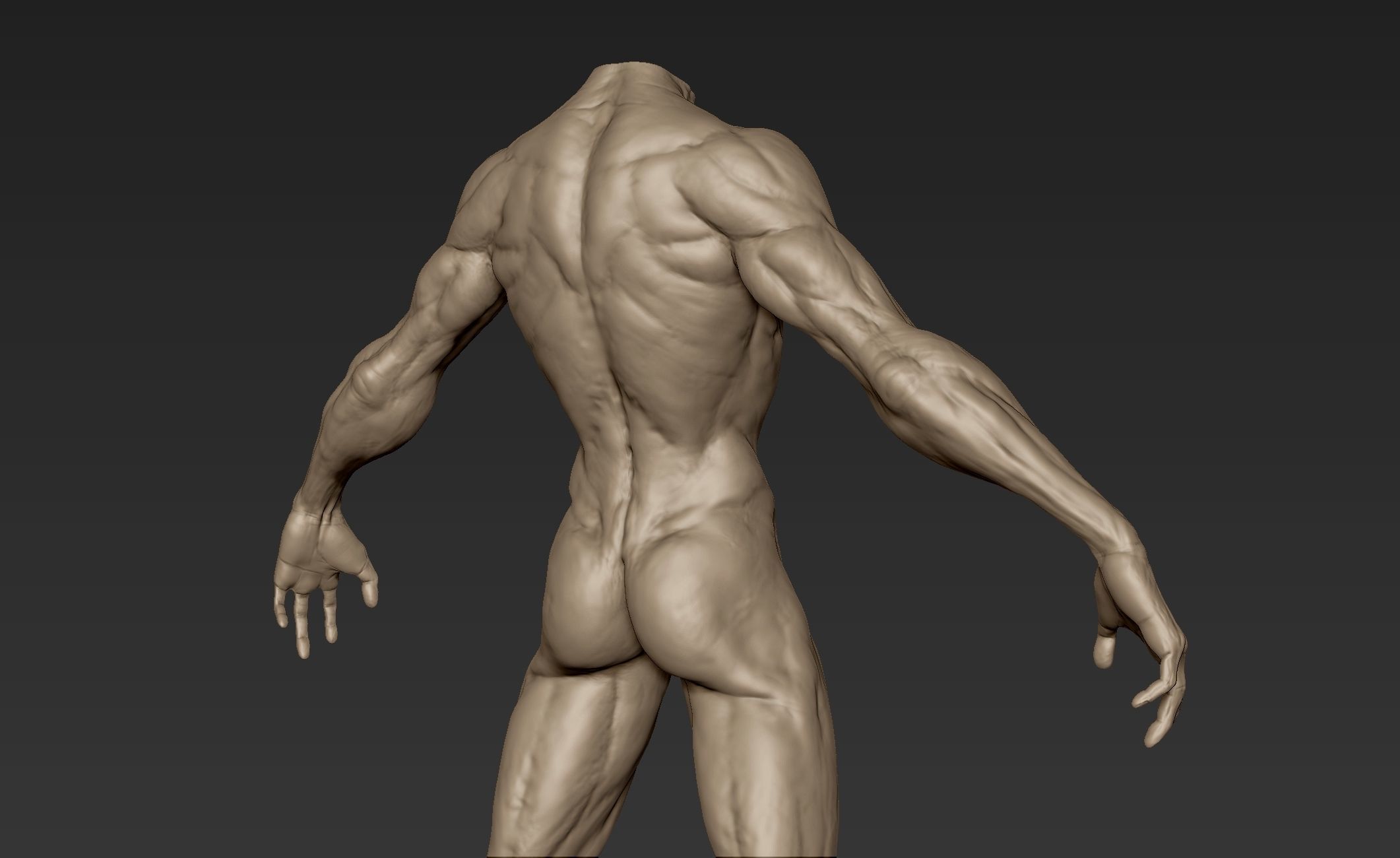 Creature Body Sculpt 3 3D model_9