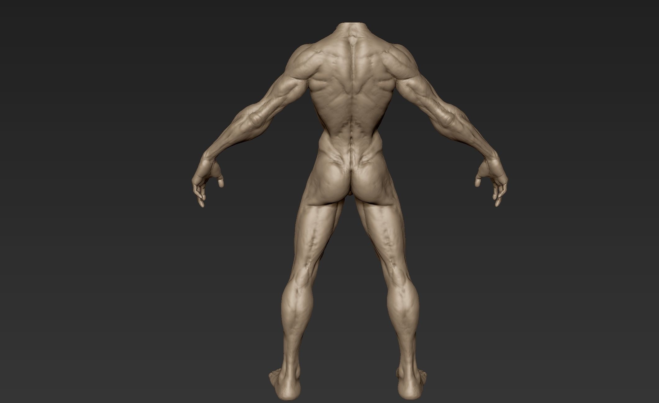 Creature Body Sculpt 3 3D model_7