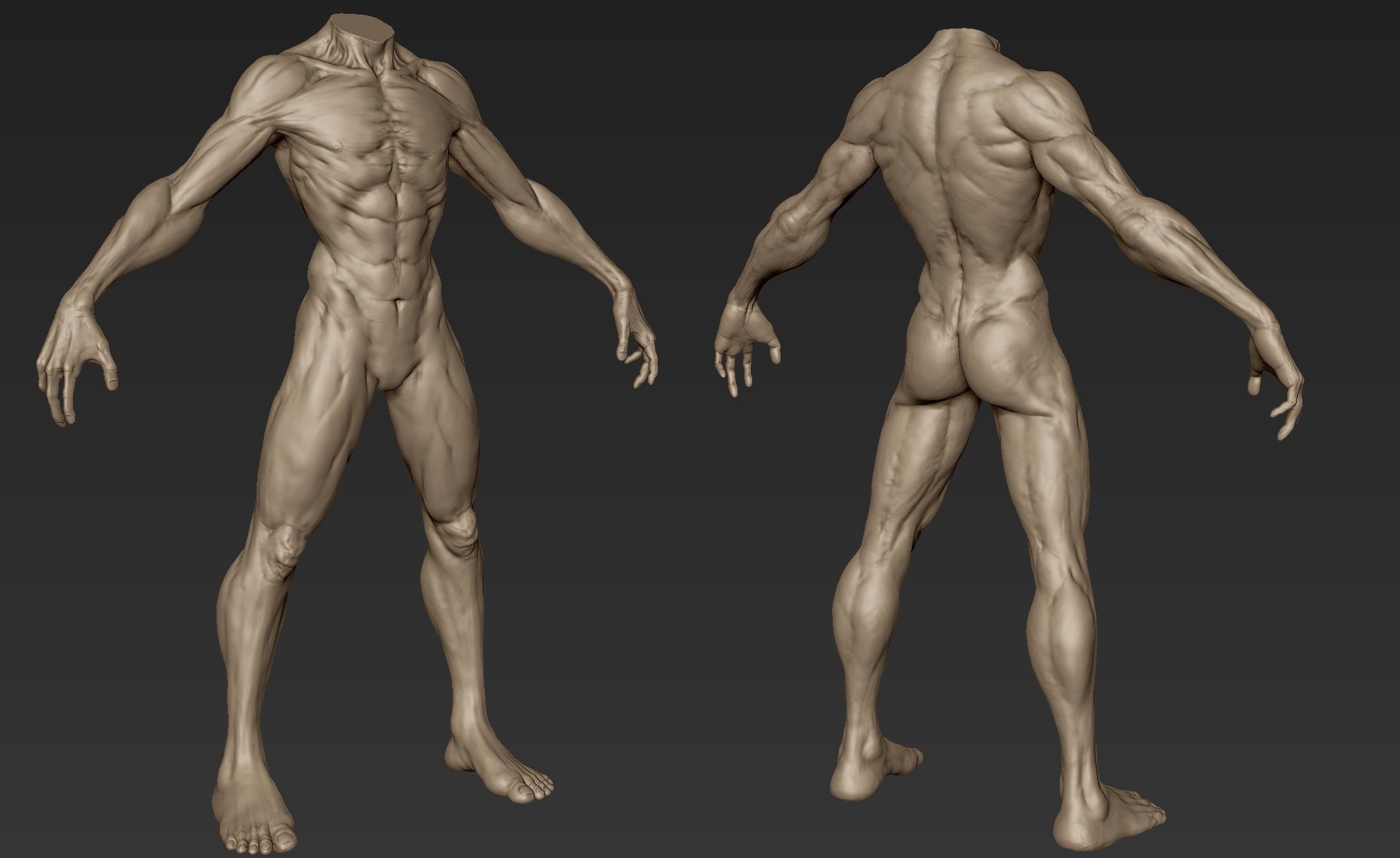 Creature Body Sculpt 3 3D model_1