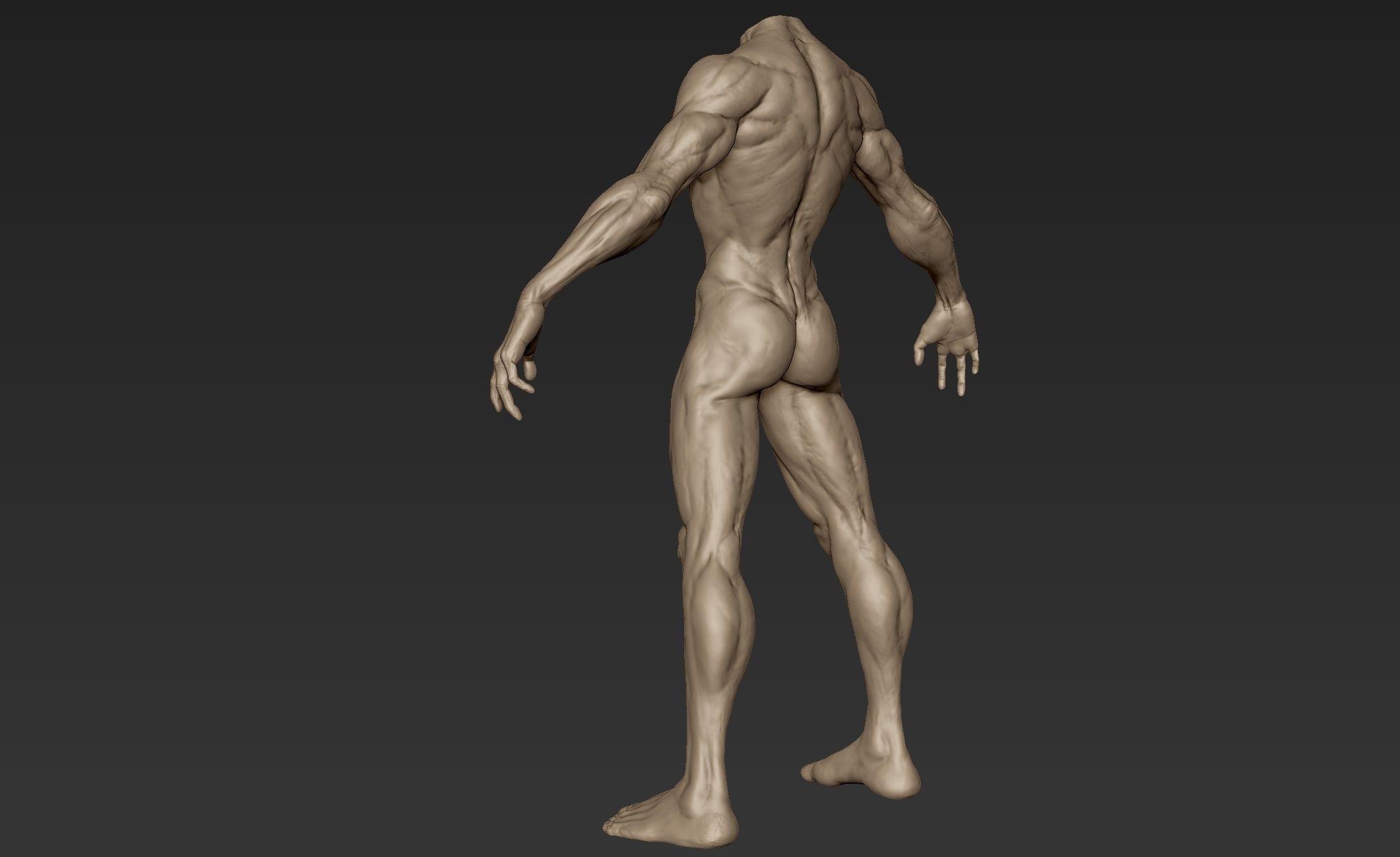 Creature Body Sculpt 3 3D model_6
