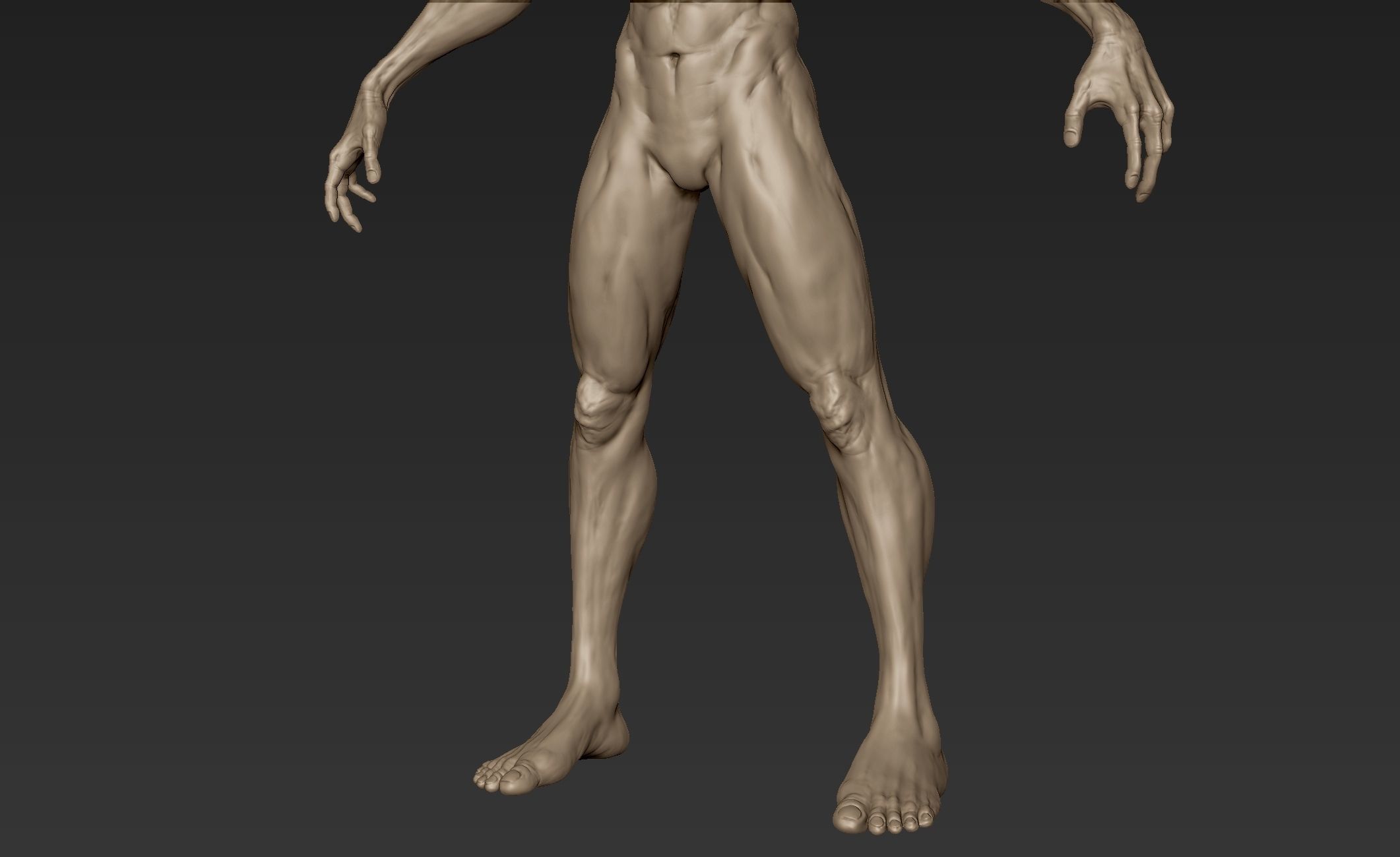 Creature Body Sculpt 3 3D model_11