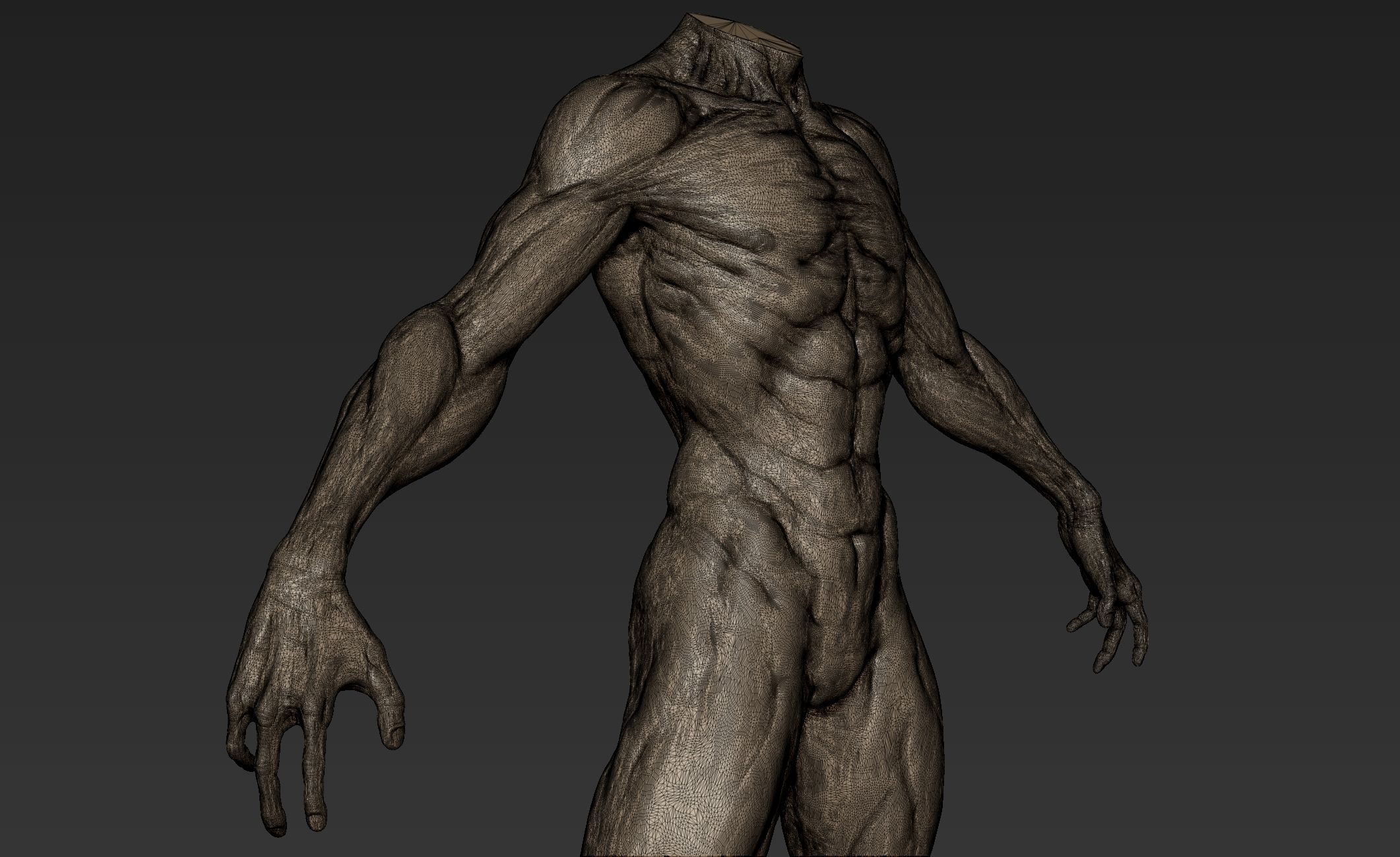 Creature Body Sculpt 3 3D model_13