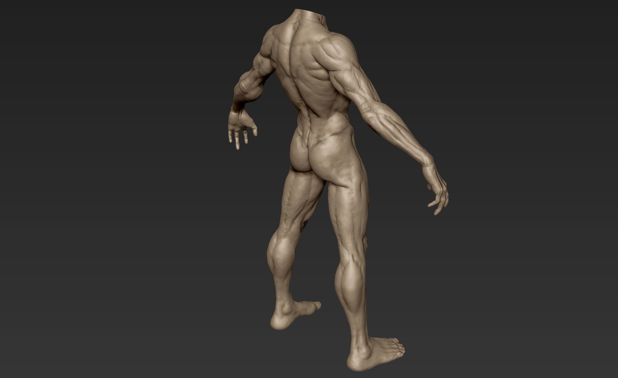 Creature Body Sculpt 3 3D model_8