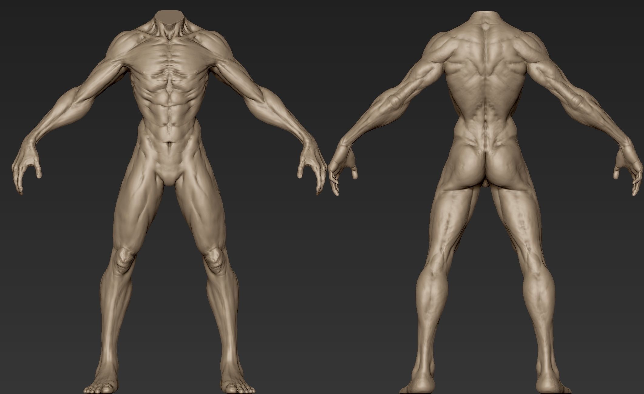 Creature Body Sculpt 3 3D model_12