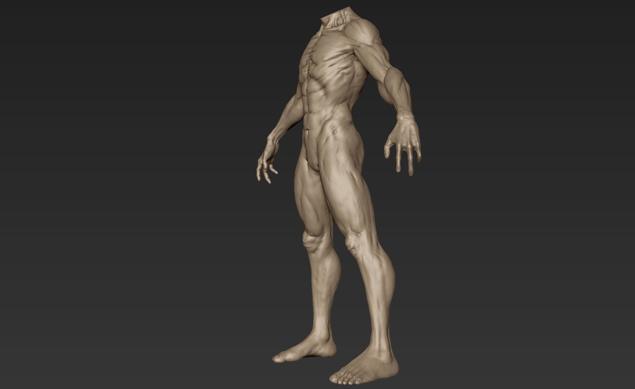 Creature Body Sculpt 3 3D model_4