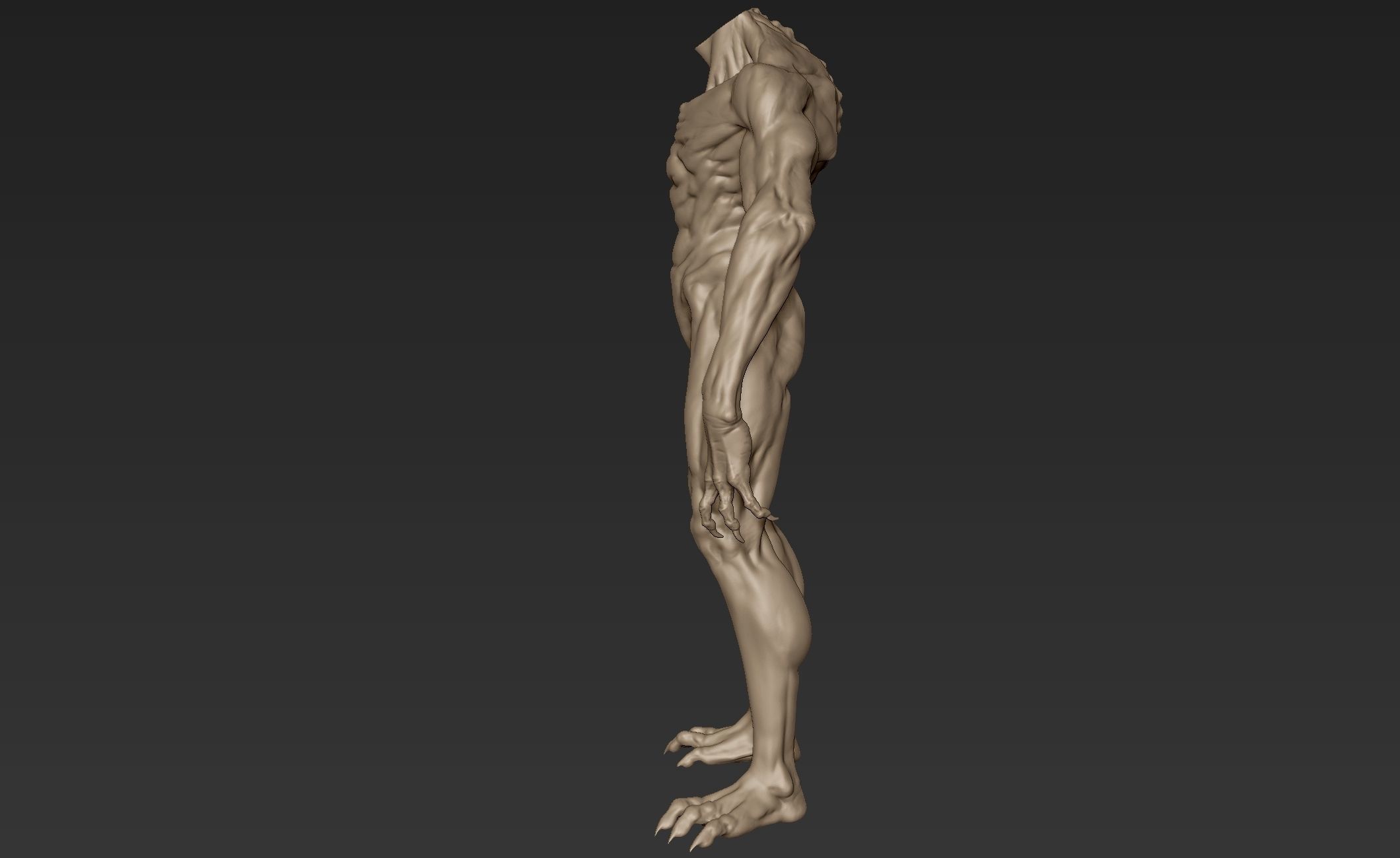 Creature Body Sculpt 9 3D model_5