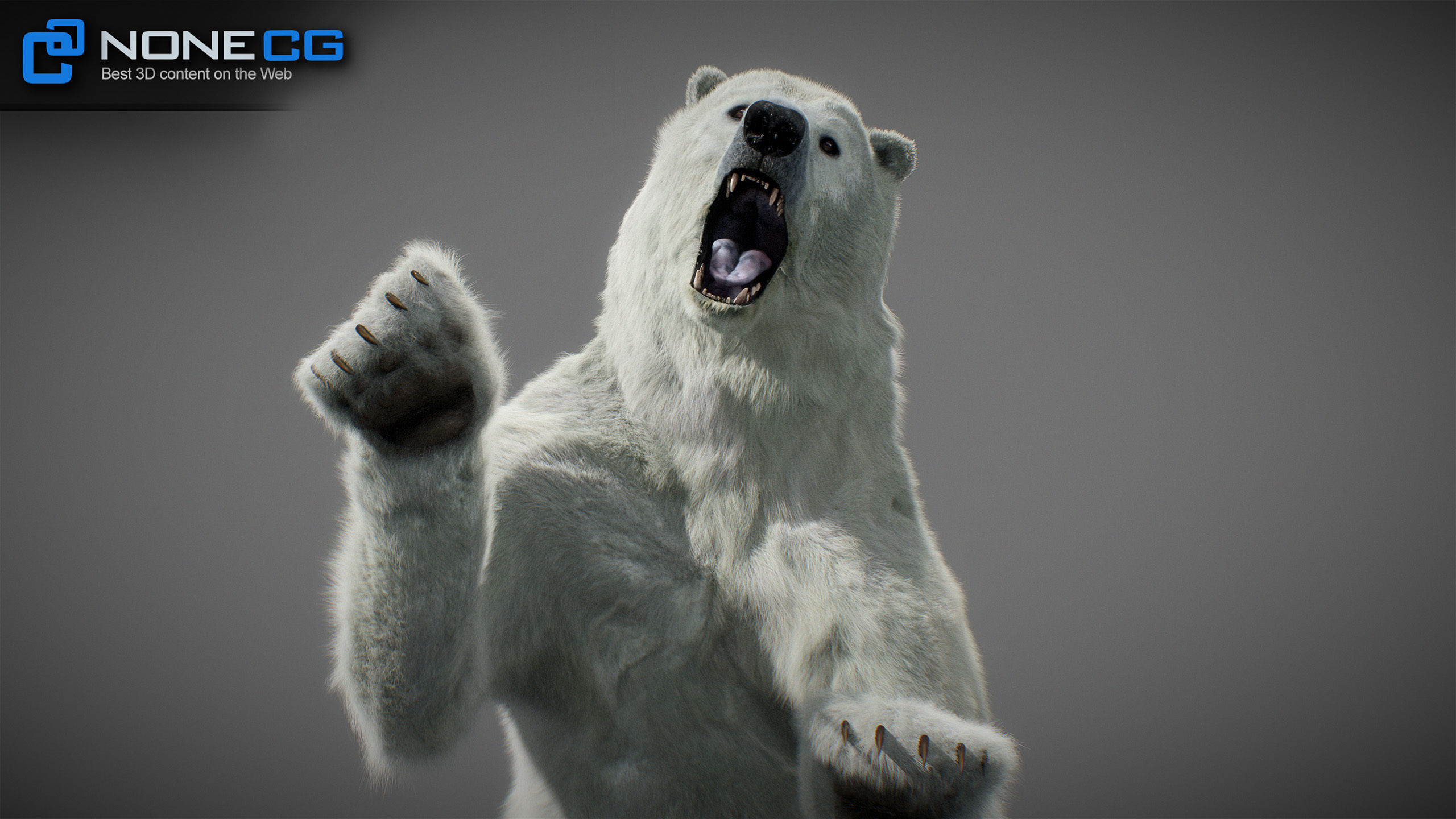 Animated Polar Bear 3D model_3