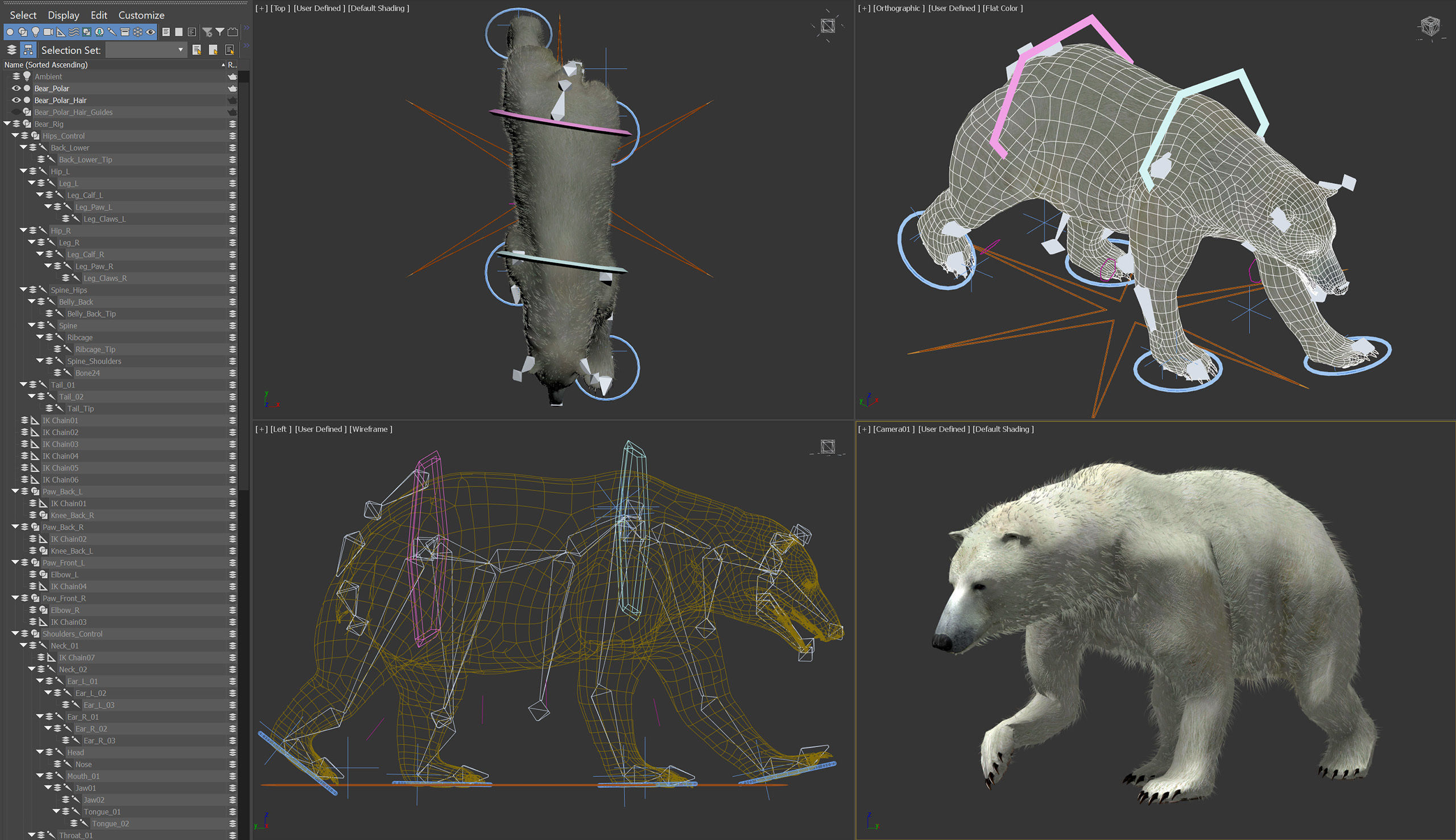 Animated Polar Bear 3D model_5