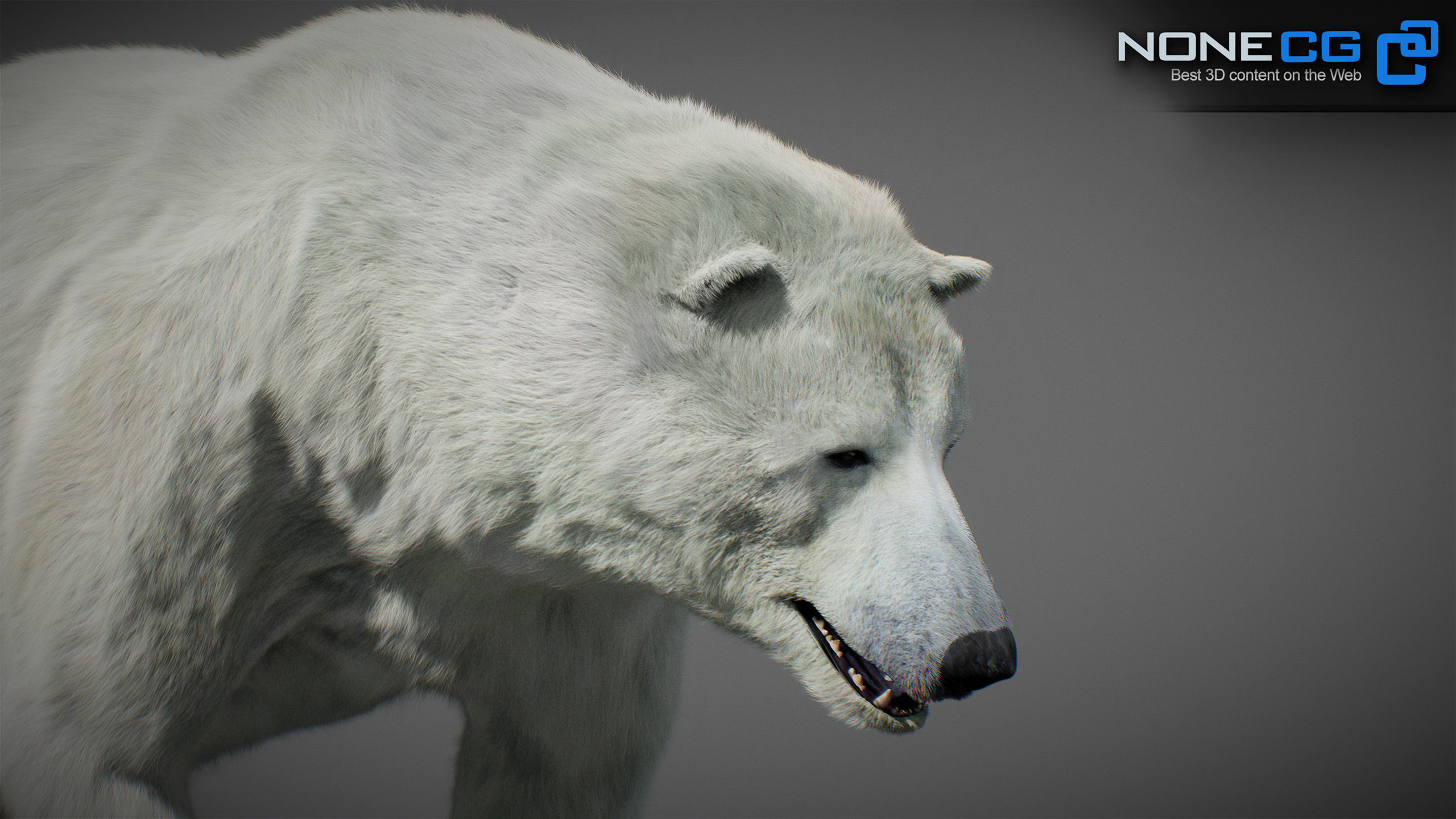 Animated Polar Bear 3D model_2