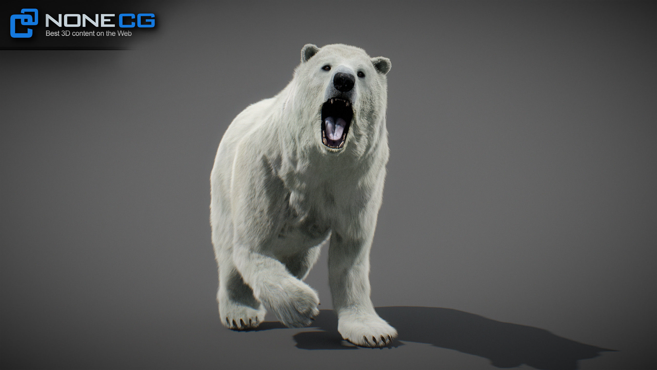 Animated Polar Bear 3D model_11
