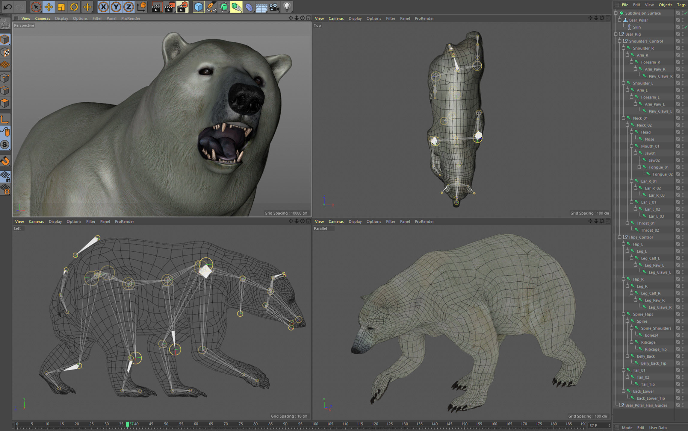 Animated Polar Bear 3D model_7