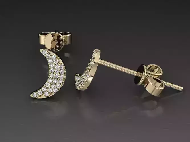 Jewelry Earring 3D print model