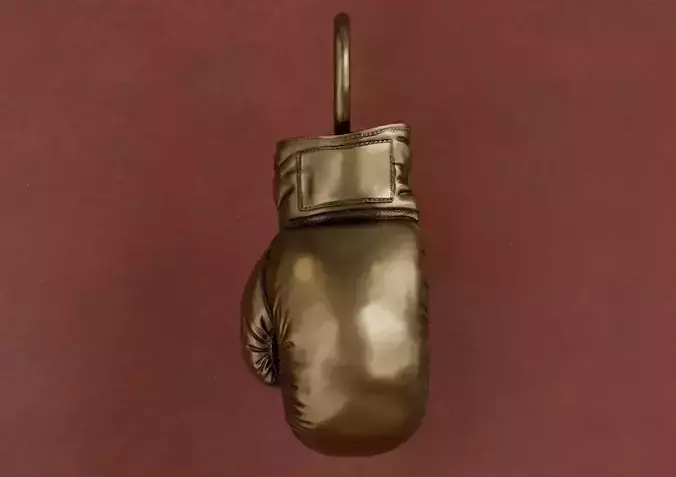 Boxing glove V3