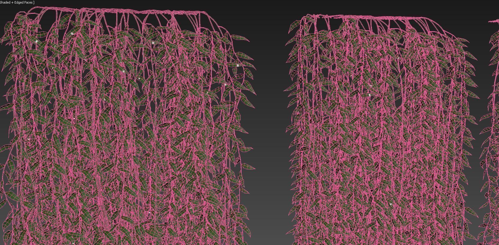 Vernonia elliptica 03 3D model_6