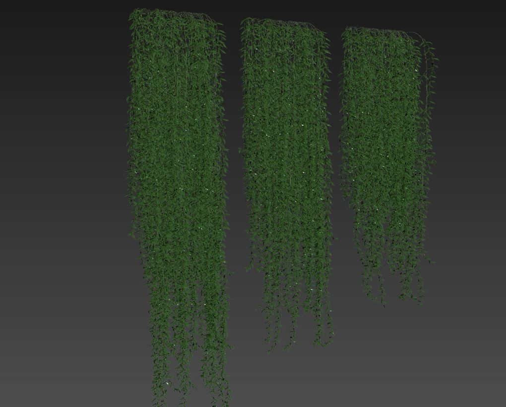 Vernonia elliptica 03 3D model_5