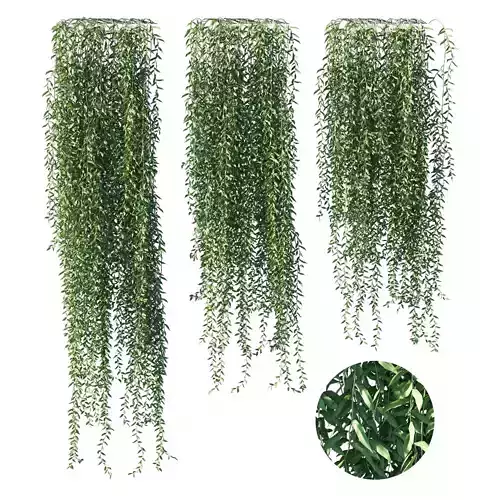 Vernonia elliptica 03 3D model