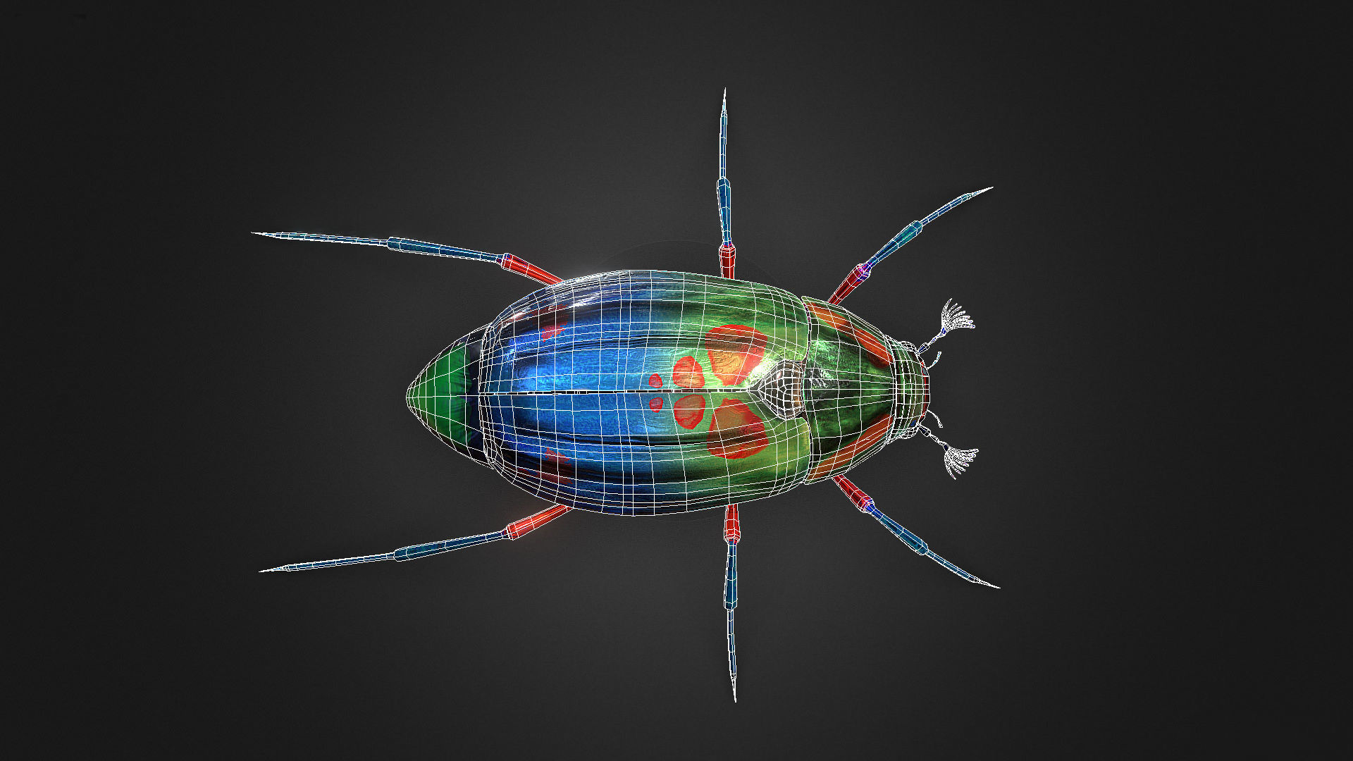 Bug Indian Jewel Beetle PBR VR Low-poly 3D model_5