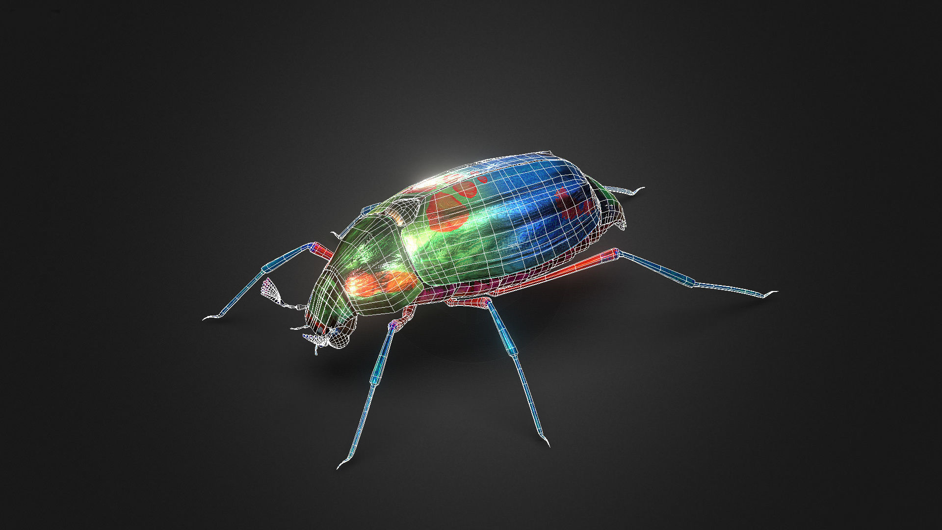 Bug Indian Jewel Beetle PBR VR Low-poly 3D model_2
