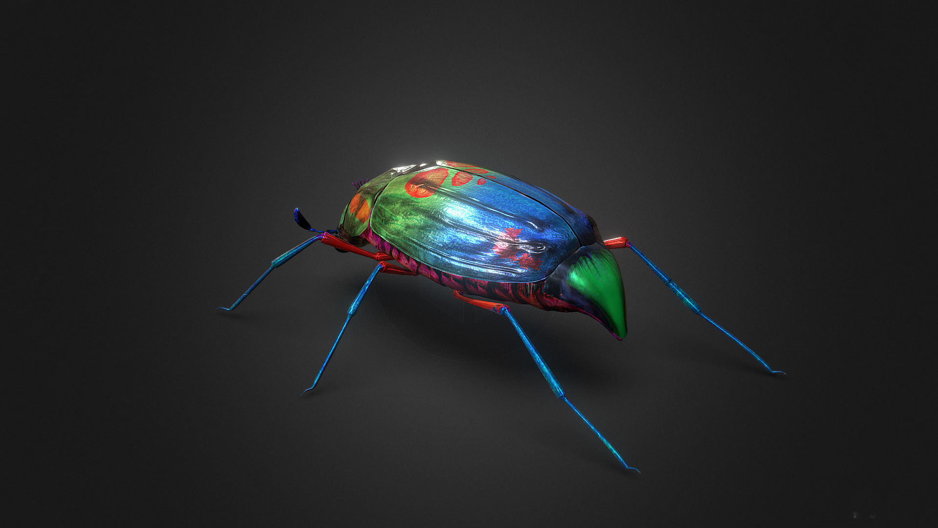 Bug Indian Jewel Beetle PBR VR Low-poly 3D model_3