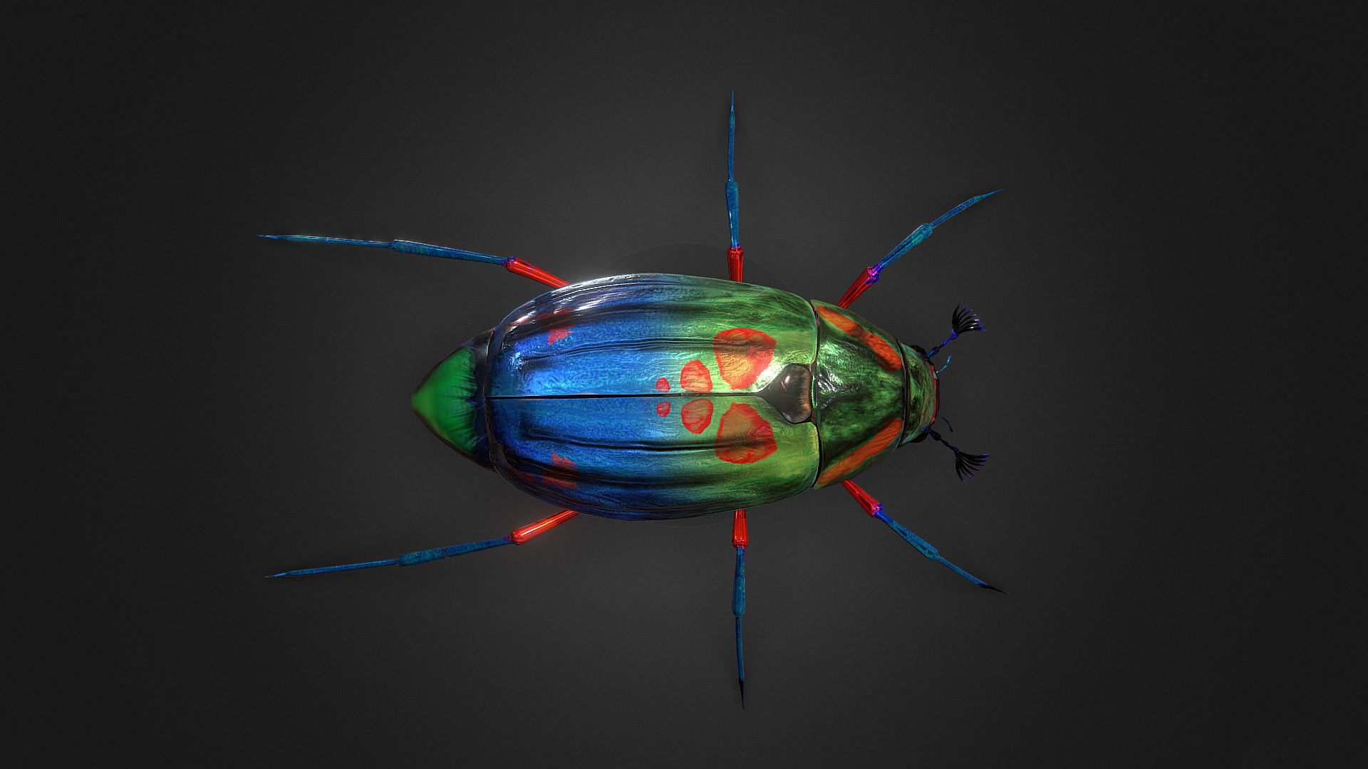 Bug Indian Jewel Beetle PBR VR Low-poly 3D model_4