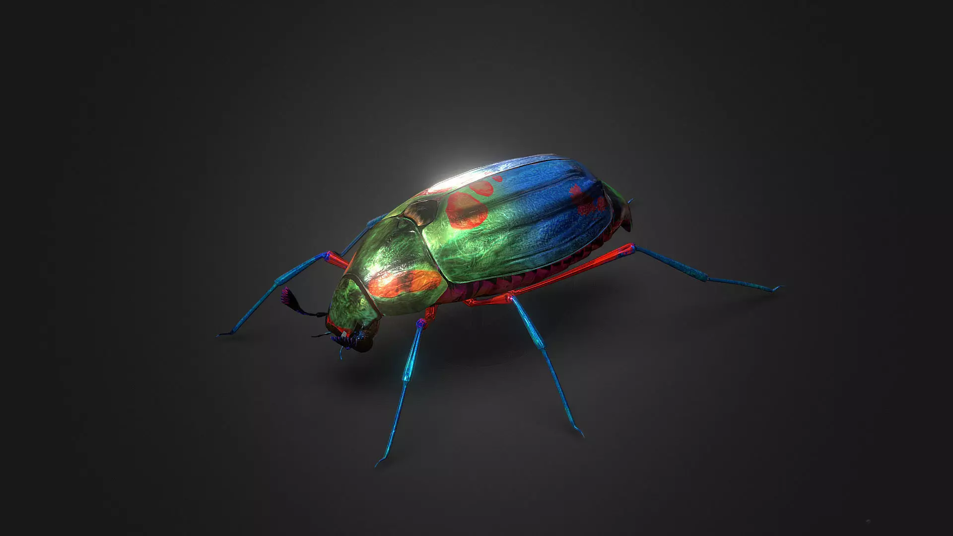 Bug Indian Jewel Beetle PBR VR Low-poly 3D model_0