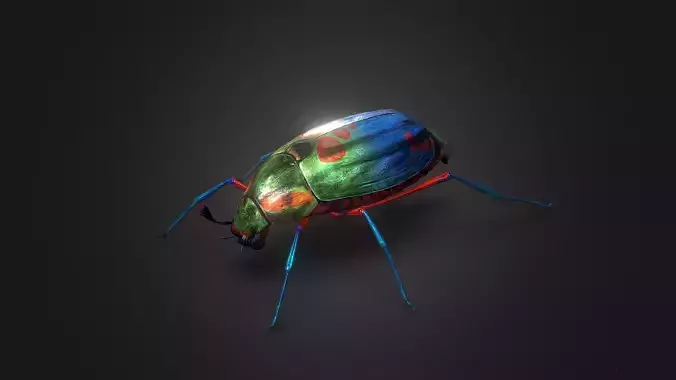Bug Indian Jewel Beetle PBR VR Low-poly 3D model