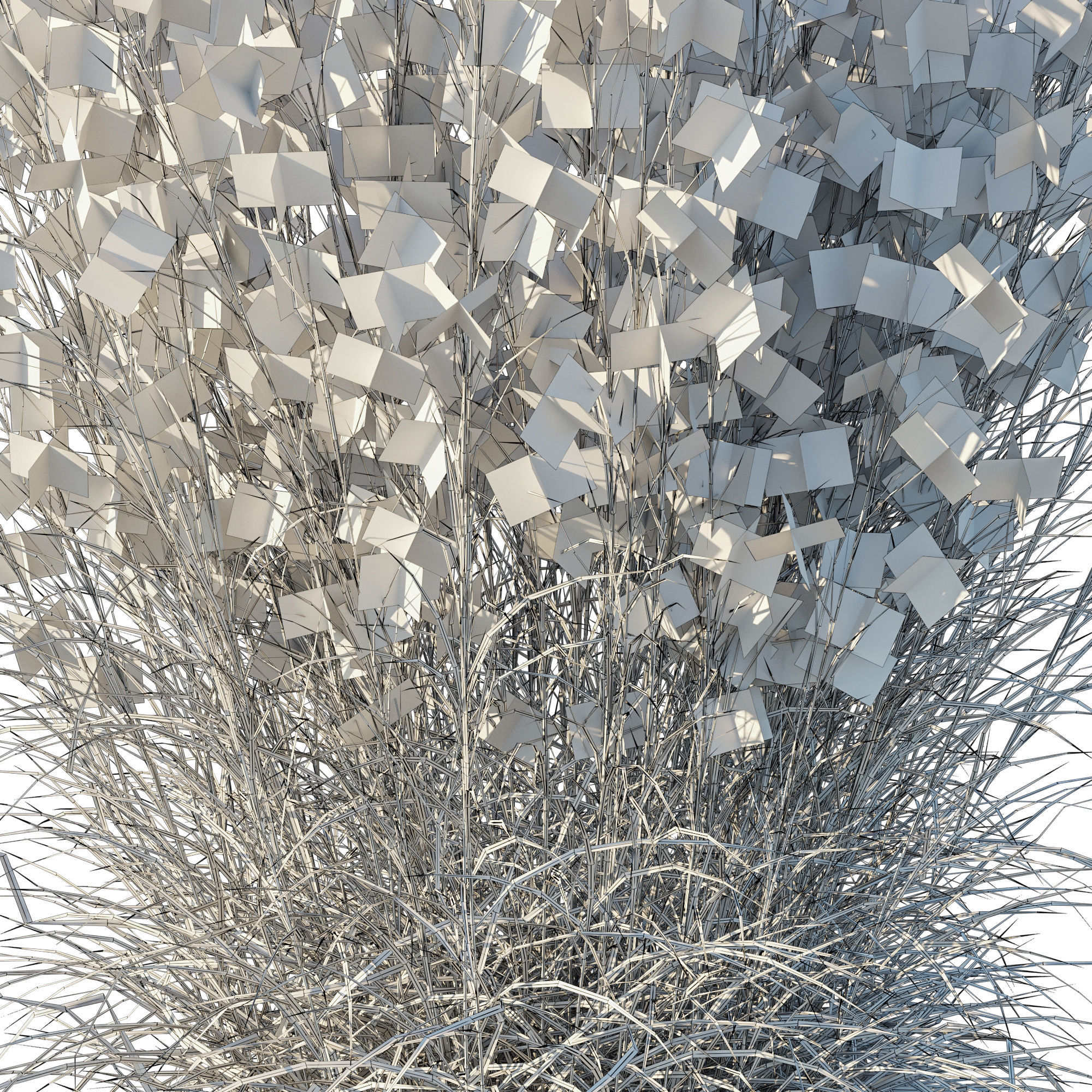 Black Mountain Bluestem Dry grass 3D model_3