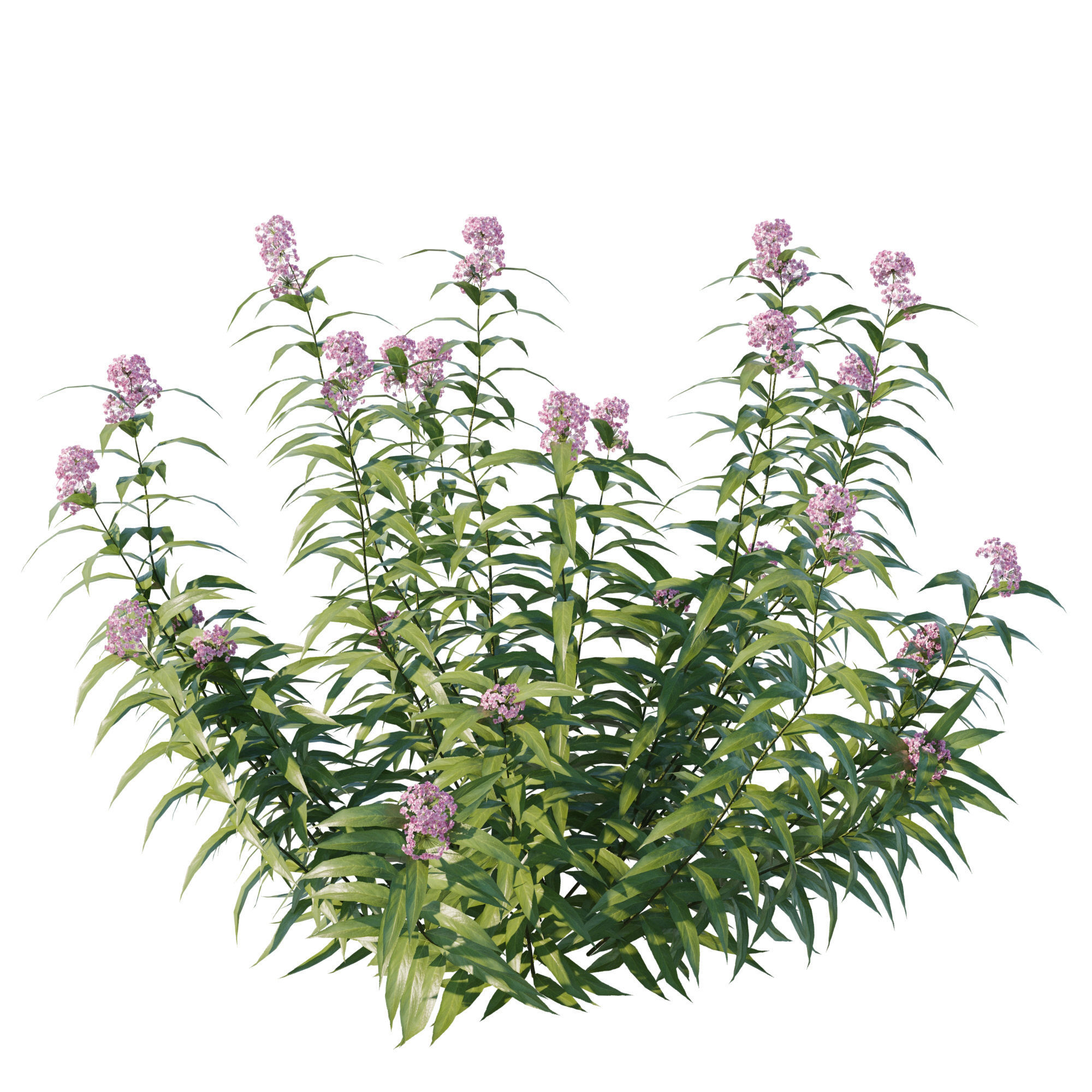 Pot plant collection 3D model_1