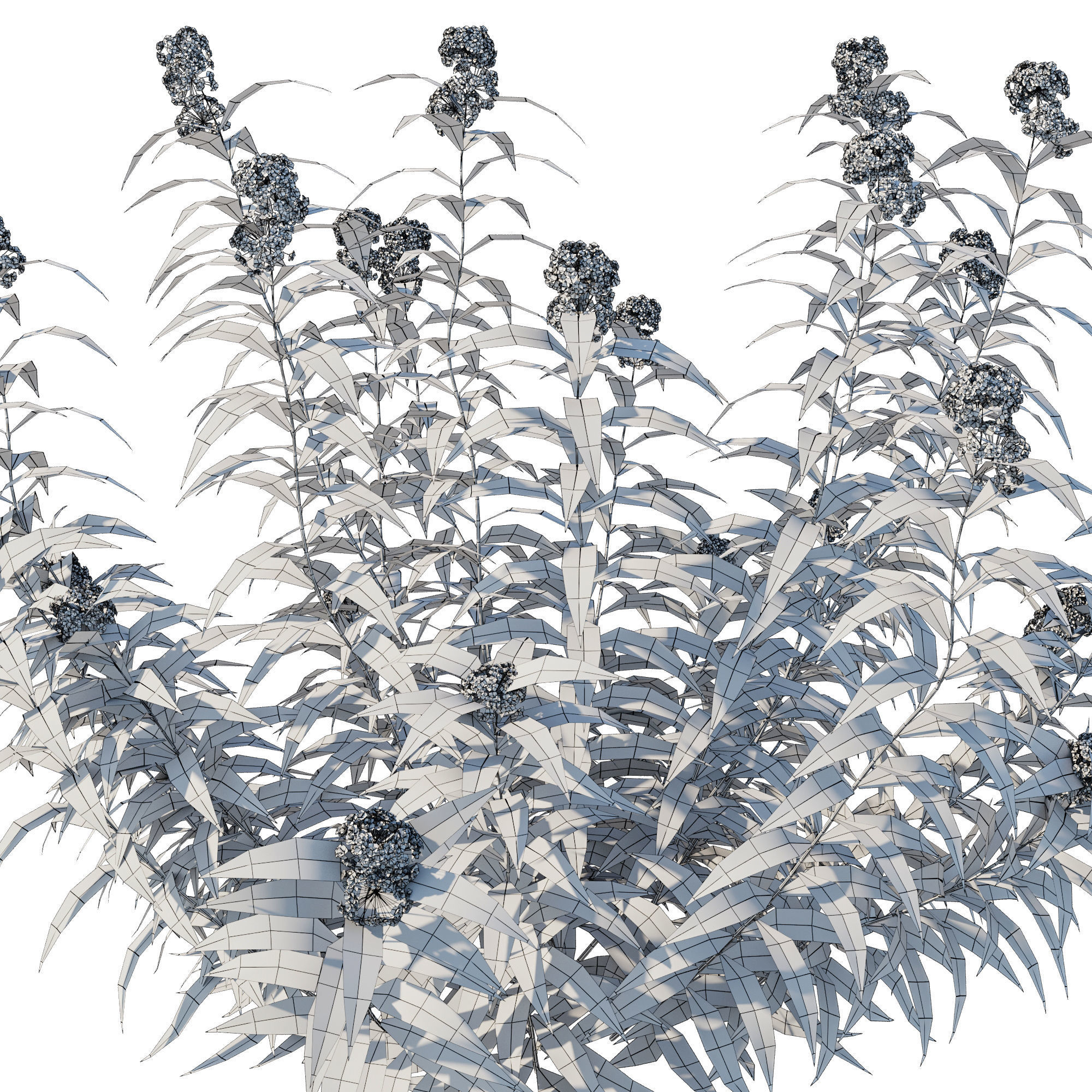 Pot plant collection 3D model_2