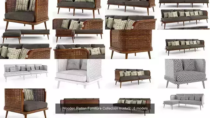 Wooden Rattan Furniture Collection modul2 