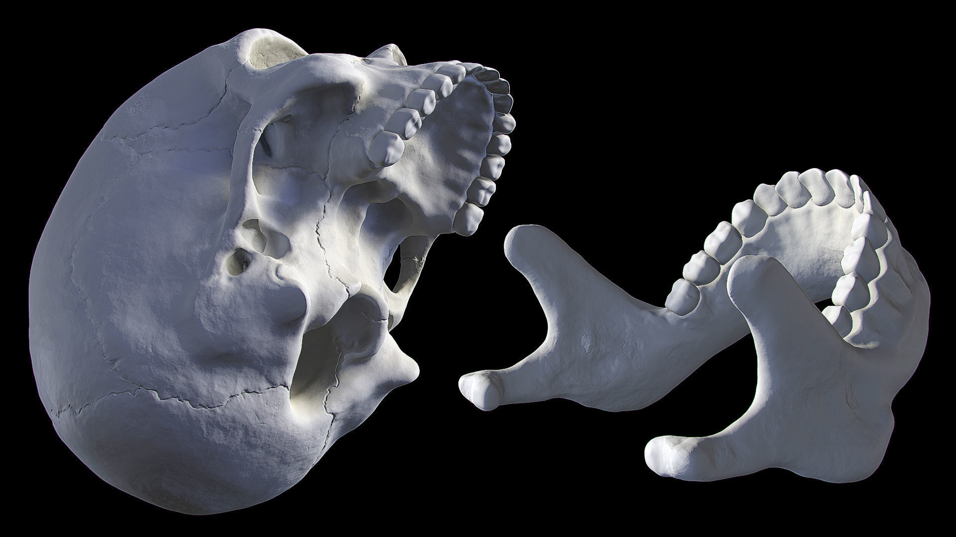 Hq Human skull 3D print model_1