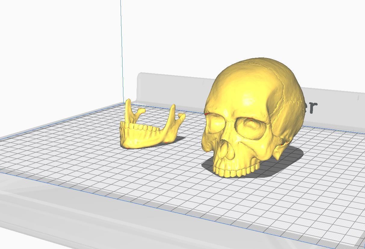 Hq Human skull 3D print model_7