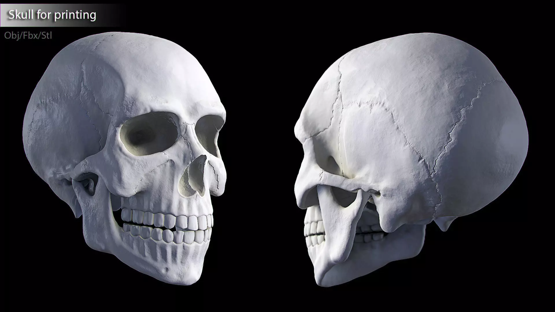 Hq Human skull 3D print model_0