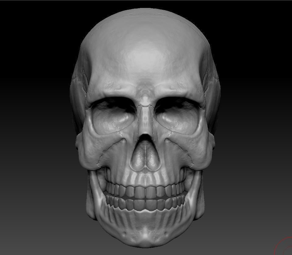Hq Human skull 3D print model_5
