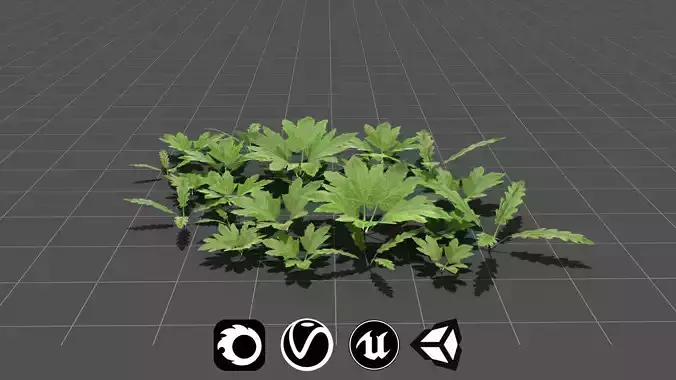 Realistic Leafy Plants and Weeds - High Quality Low-Poly Models Low-poly 3D model