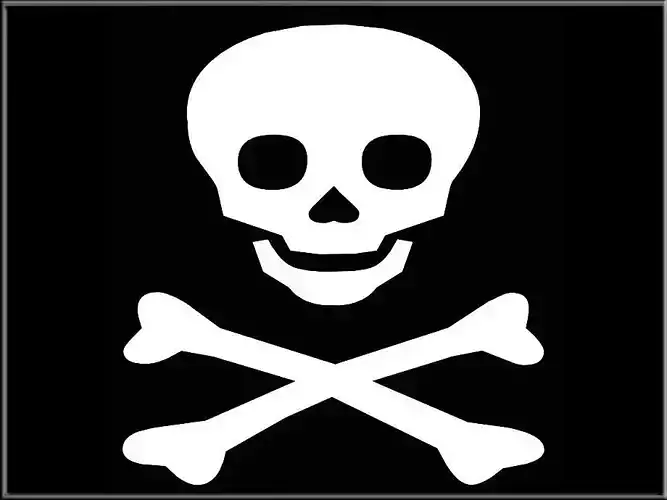 Skull and bones