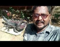 tamil temple all Madurai to Chennai temple  photogrammetry 3D model_31