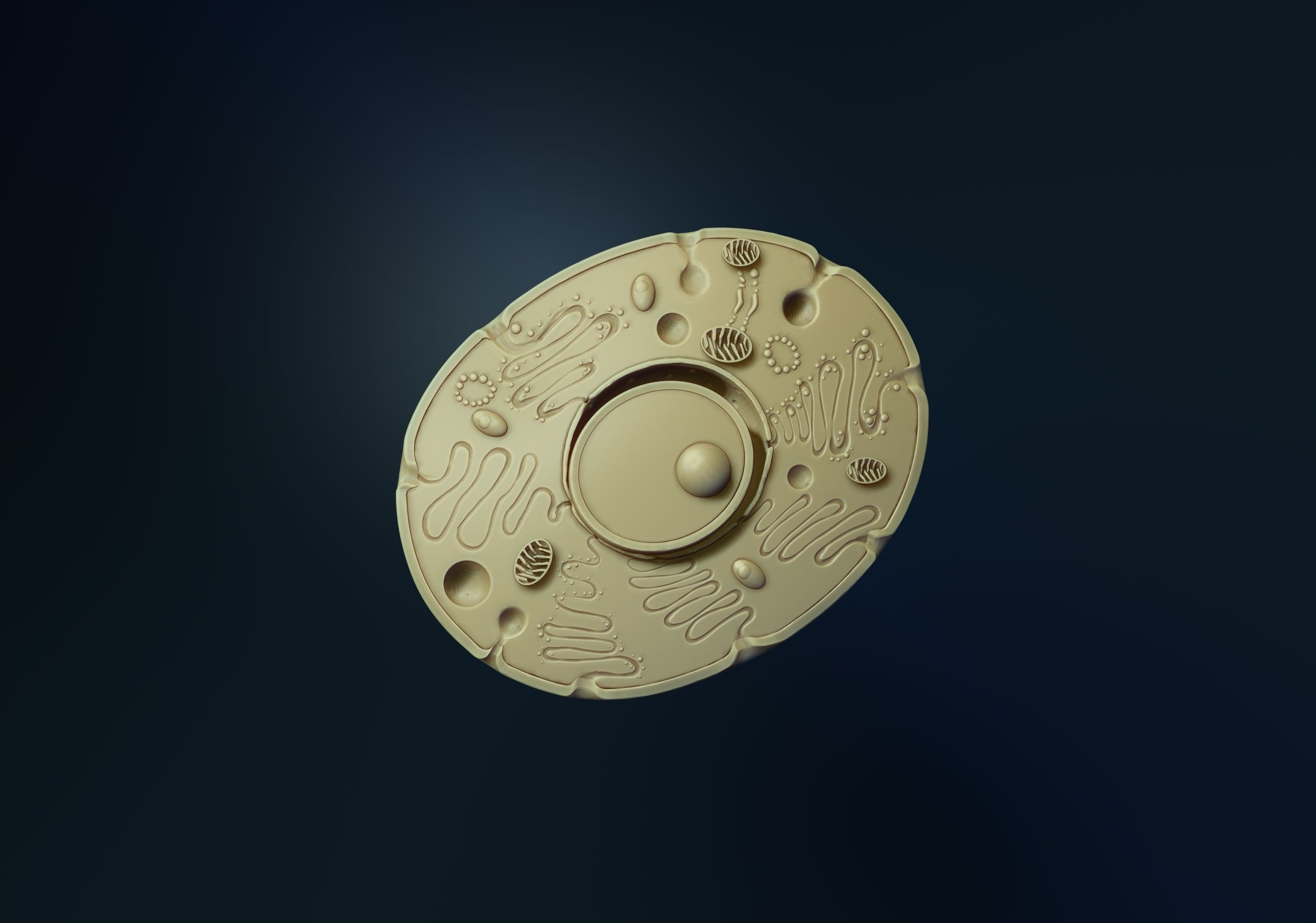 animal cell model 3D print model_6