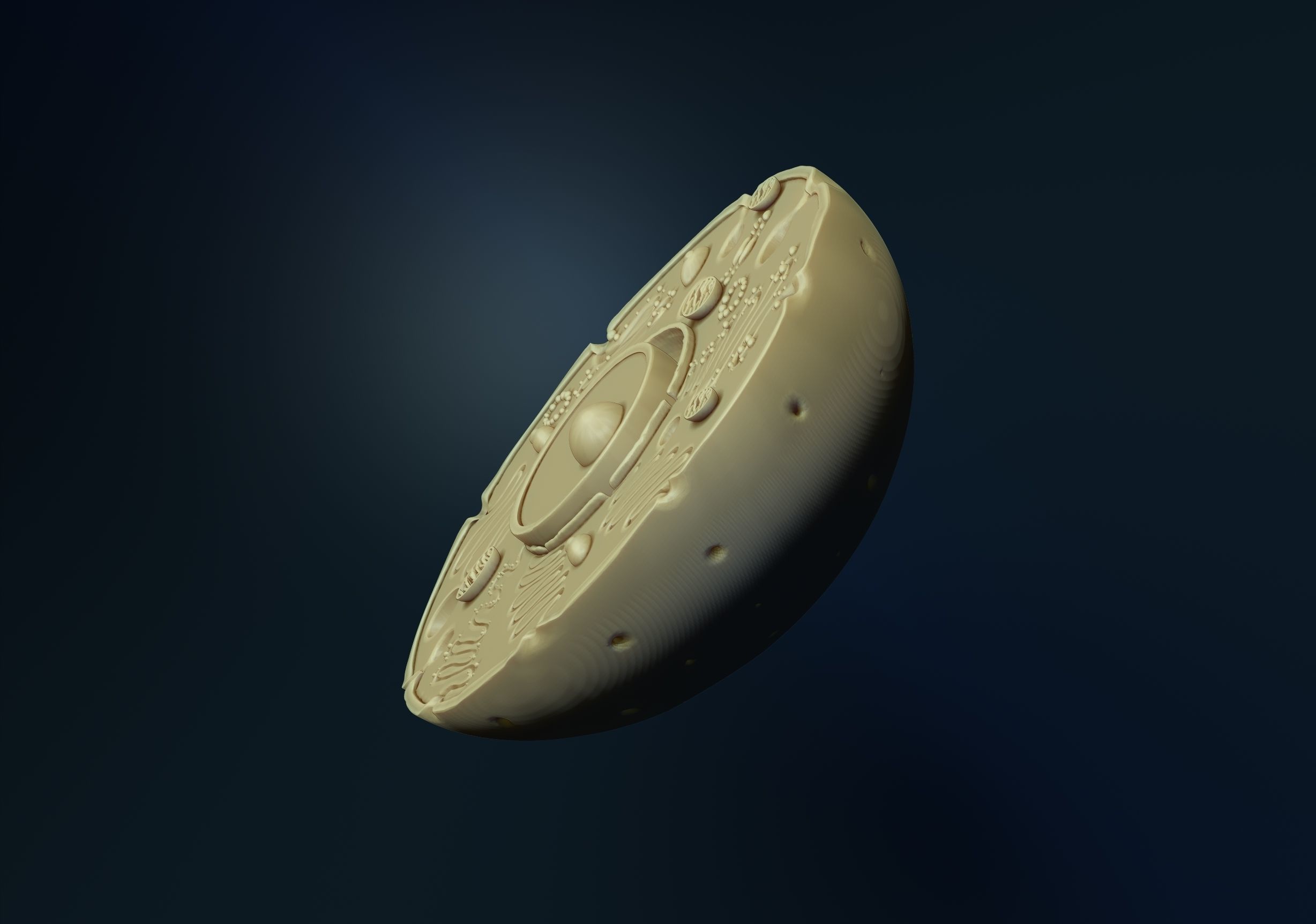 animal cell model 3D print model_1