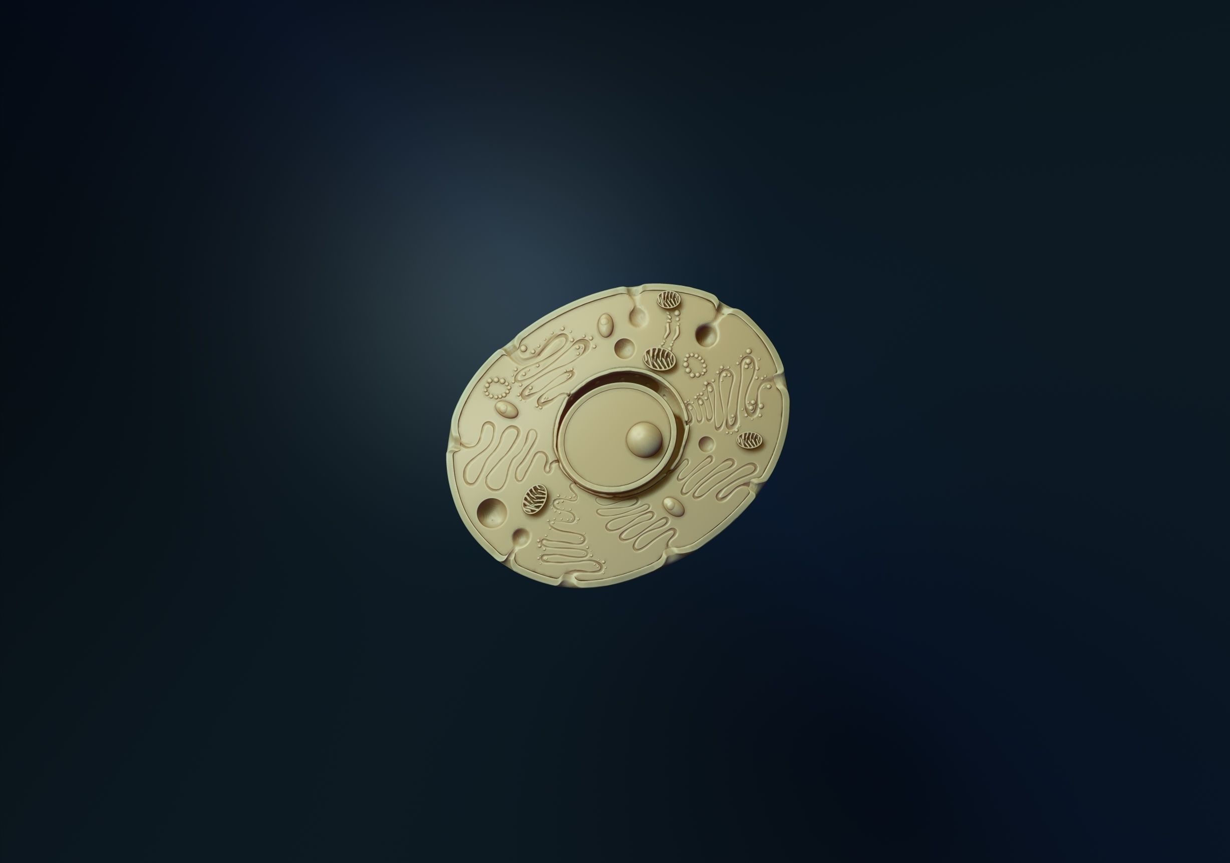 animal cell model 3D print model_4