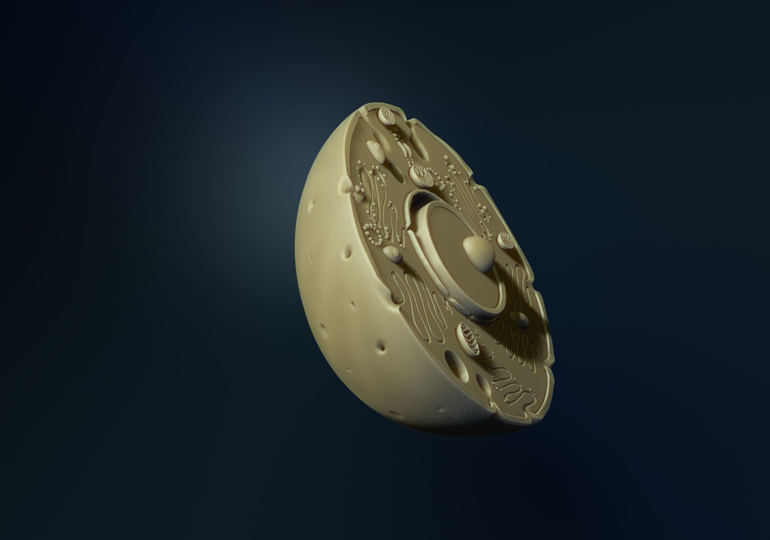 animal cell model 3D print model_3