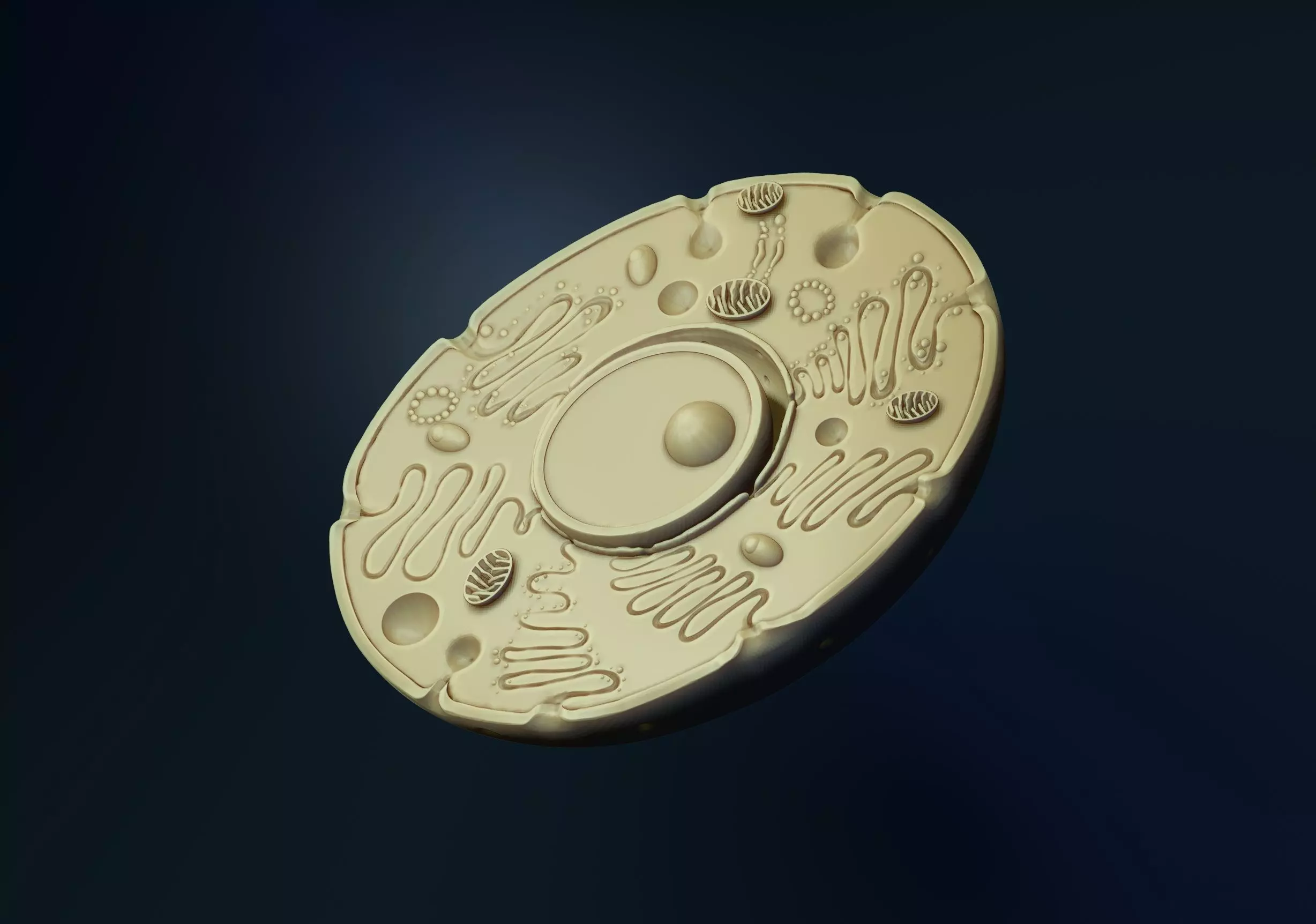 animal cell model 3D print model_0