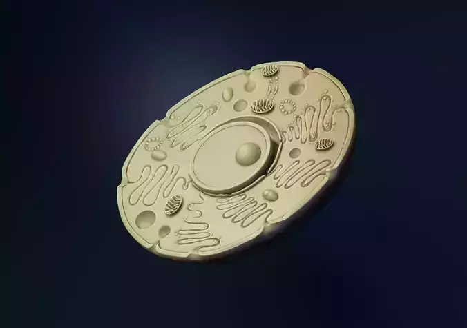animal cell model 3D print model