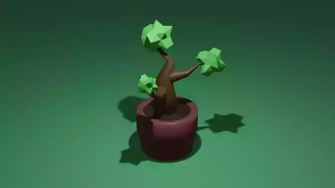The pot with the tree