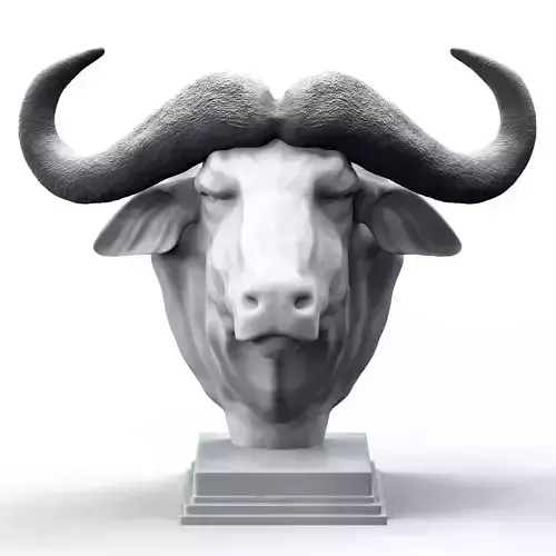  African Buffalo Head Statue 3D print model