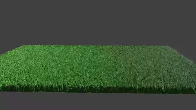 Grass ground Lawn Low-poly 3D model